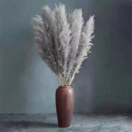 FeatherFawn - Gedroogde Pampas Bloemen